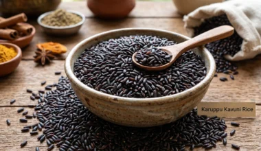 கருப்பு கவுனி - Karuppu Kavuni (Black Rice)