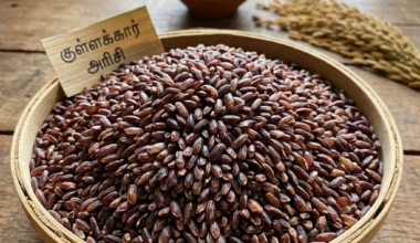 குள்ளக்கார்